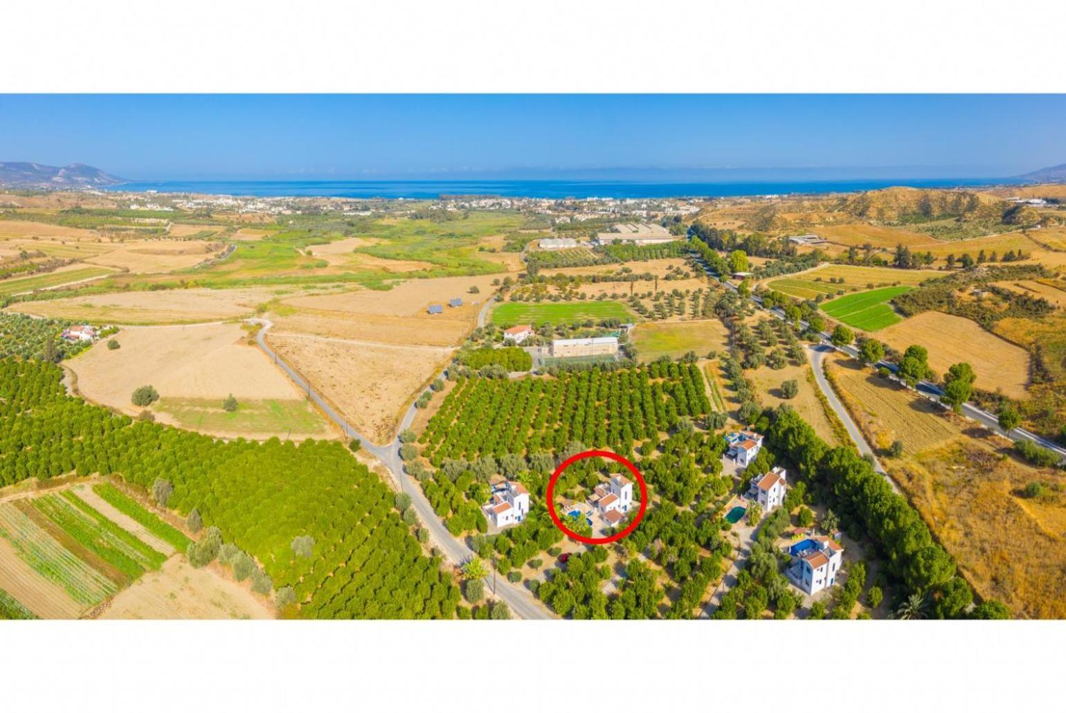 Villa Charoula Pente Pafos Dış mekan fotoğraf